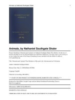 Domesticated Animals potx