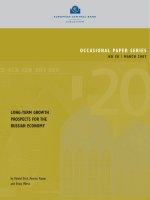 LONG-TERM GROWTH PROSPECTS FOR THE RUSSIAN ECONOMY potx