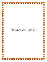 BÍ MẬT CỦA SỰ LẶNG IM!. pot