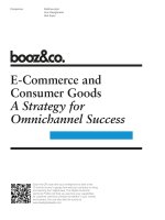 E-Commerce and Consumer Goods A Strategy for Omnichannel Success doc