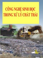 CÔNG NGHỆ SINH HỌC TRONG XỬ LÝ CHẤT THẢI doc