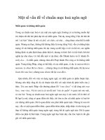 Một số vấn đề về chuẩn mực hoá ngôn ngữ docx