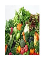 Chữa bệnh bằng... thức ăn pptx