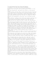 an analysis of the video