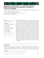 Báo cáo khoa học: Recombinant expression of an insulin-like peptide 3 (INSL3) precursor and its enzymatic conversion to mature human INSL3 pot
