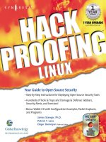hack proofing linux - your guide to open source security