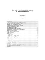 How to do a Debt Sustainability Analysis for Low-Income Countries pdf