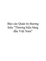 quản trị thương hiệu công ty viễn thông viettel