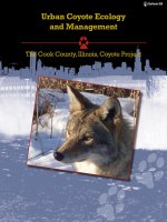 Urban Coyote Ecology and Management - The Cook County, Illinois, Coyote Project potx