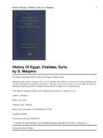 History Of Egypt, Chaldæa, Syria, Babylonia, and Assyria, Volume 9 (of 12) pdf