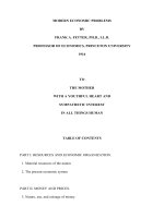 MODERN ECONOMIC PROBLEMS docx