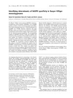 Báo cáo khoa học: Identifying determinants of NADPH speciﬁcity in Baeyer–Villiger monooxygenases docx