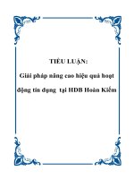 TIỂU LUẬN: Giải pháp nâng cao hiệu quả hoạt động tín dụng tại HDB Hoàn Kiếm pptx