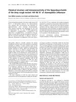 Báo cáo Y học: Chemical structure and immunoreactivity of the lipopolysaccharide of the deep rough mutant I-69 Rd–/b+ of Haemophilus inﬂuenzae docx