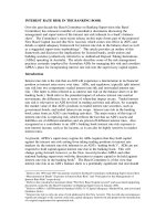 INTEREST RATE RISK IN THE BANKING BOOK ppt