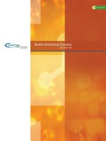 Mobile Advertising Overview 2009 pptx