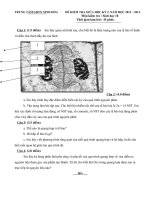 ĐỀ KIỂM TRA GIỮA HỌC KỲ 2. NĂM HỌC 2012 – Môn kiểm tra : Sinh học 10 doc