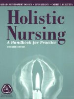 Holistic Nursing A Handbook for Practice FOURTH EDITION pot