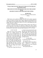 Tác hại của bệnh cằn mía gốc ở đông nam bộ và hiệu quả xử lý hom bằng nước nóng để phòng trừ bệnh doc