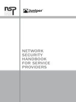 Network Security HaNdbook for Service Providers doc