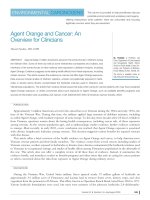 Agent Orange and Cancer: An Overview for Clinicians doc