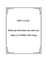 đánh giá tình hình sản xuất của công ty cổ phần việt vàng