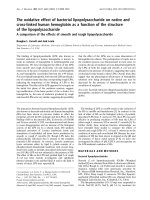 Báo cáo khoa học: The oxidative effect of bacterial lipopolysaccharide on native and cross-linked human hemoglobin as a function of the structure of the lipopolysaccharide A comparison of the effects of smooth and rough lipopolysaccharide ppt