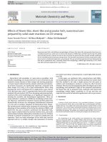 effects of flower - like, sheet - like and granular sno2 nanostructures