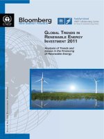 GLOBAL TRENDS IN RENEWABLE ENERGY INVESTMENT 2011 docx