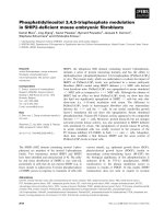 Báo cáo khoa học: Phosphatidylinositol 3,4,5-trisphosphate modulation in SHIP2-deﬁcient mouse embryonic ﬁbroblasts pot