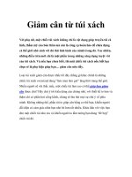 Giảm cân từ túi xách pot