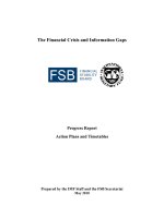 The Financial Crisis and Information Gaps: Progress Report Action Plans and Timetables pptx