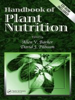 Handbook of Plant Nutrition pptx