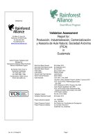 Validation Assessment Report for: Producción, Industrialización, Comercialización y Asesoría de Hule Natural, Sociedad Anónima (PICA) in Guatemala pot