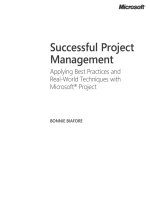 Successful Project Management pot