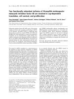 Báo cáo khoa học: Two functionally redundant isoforms of Drosophila melanogaster eukaryotic initiation factor 4B are involved in cap-dependent translation, cell survival, and proliferation doc