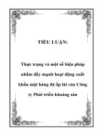 TIỂU LUẬN: Thực trạng và một số biện pháp nhằm đẩy mạnh hoạt động xuất khẩu mặt hàng đá ốp lát của Công ty Phát triển khoáng sản doc