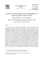 Controls of bioavailability and biodegradability of dissolved organic matter in soils
