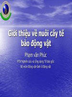 Giới thiệu về nuôi cấy tế bào động vật doc