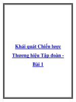 Khái quát Chiến lược Thương hiệu Tập đoàn Bài 1 ppt