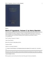 The Birth of Yugoslavia, Volume 2 pdf