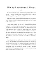 Phân lớp từ ngữ tích cực và tiêu cực pptx