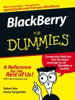 blackberry for dummies (2006)