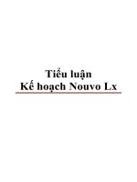 Tiểu luận Kế hoạch Nouvo Lx docx