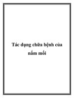 Tác dụng chữa bệnh của nấm mối doc