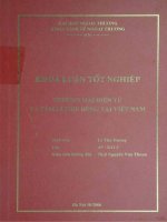 Thương mại điện tử và tâm lý tiêu dùng tại Việt Nam