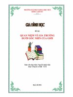 Đề tài: QUAN NIỆM VỀ GIA TRƯỞNG DƯỚI GÓC NHÌN CỦA GIỚI ppt