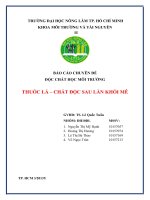 BÁO CÁO CHUYÊN ĐỀ ĐỘC CHẤT HỌC MÔI TRƯỜNG THUỐC LÁ – CHẤT ĐỘC SAU LÀN KHÓI MÊ doc