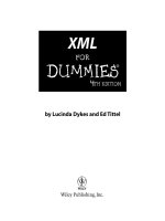 xml for dummies 4th