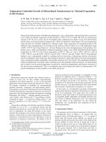 Temperature-Controlled Growth of Silicon-Based Nanostructures by Thermal Evaporation of SiO Powders